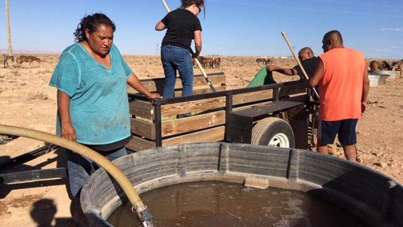 Grassroots group works to save wild horses on parched Navajo Reservation